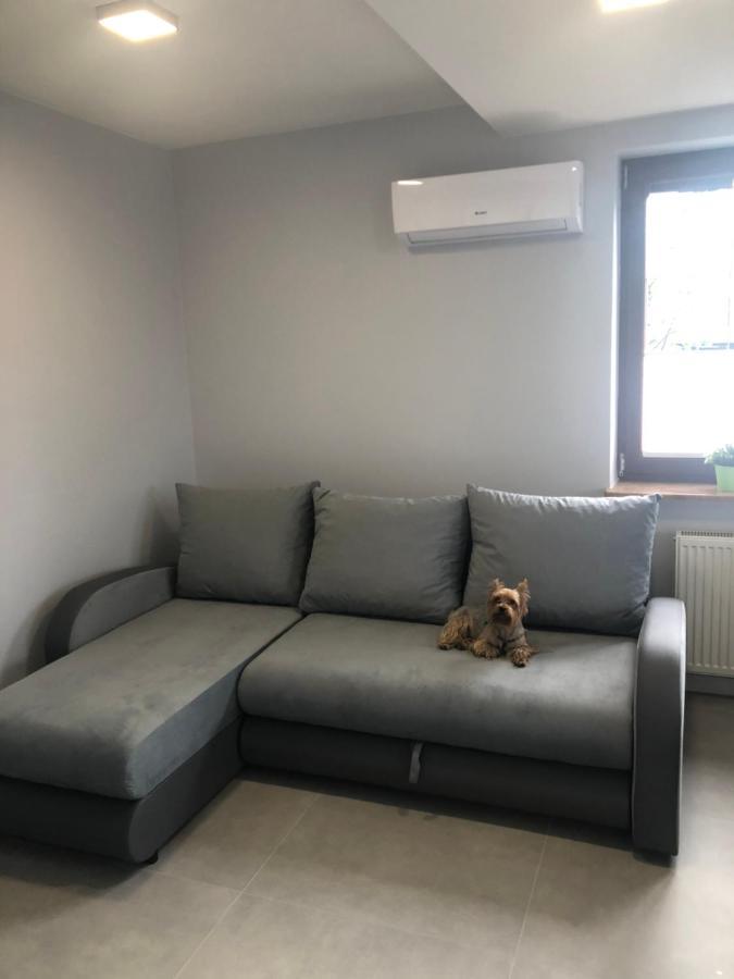 Klimatyzowane Apartamenty I Pokoje Przy Targach كيلتشي المظهر الخارجي الصورة